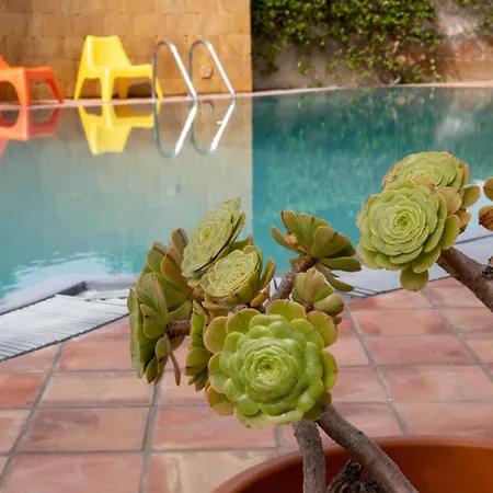 Libeccio With Shared Swimming Pool, At 200 Meters From The Beach, Solarium And Private Parking Avola